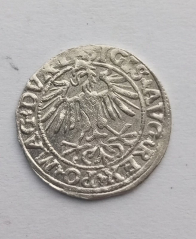 1752860477413.jpg