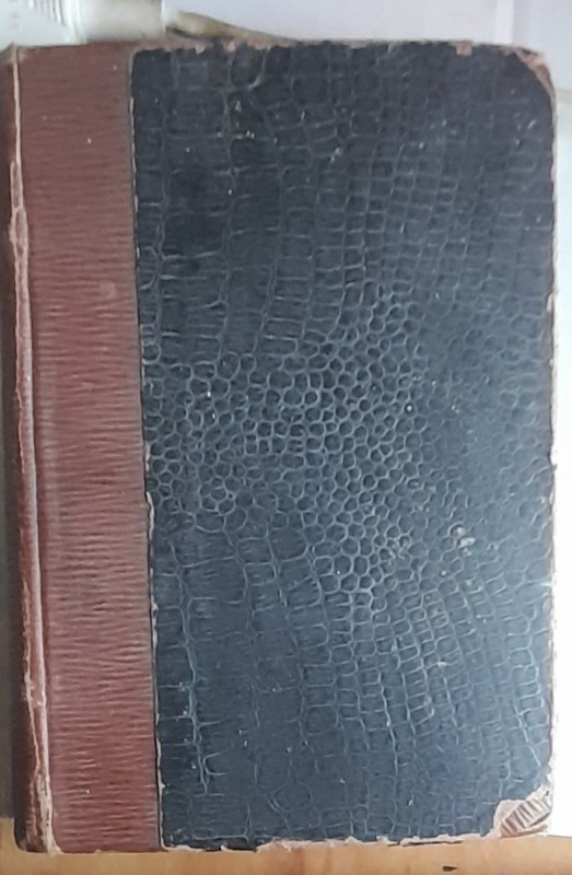 20250727_064358.jpg