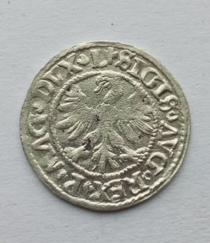 1753800265399.jpg