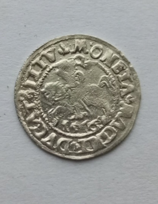 1753800285289.jpg