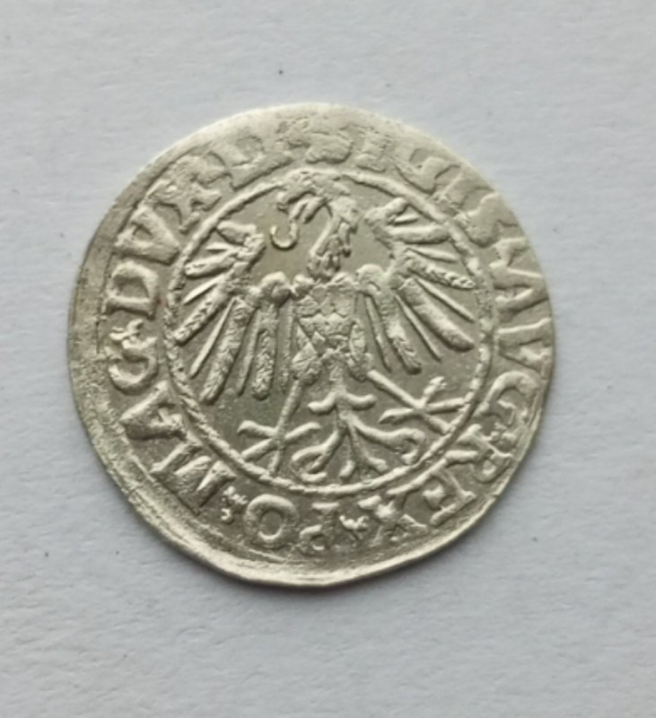 1753800199848.jpg