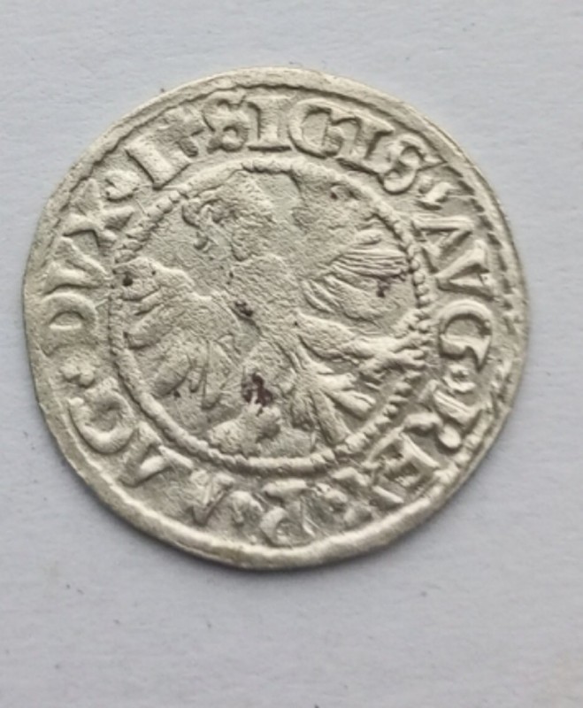 1753850770486.jpg