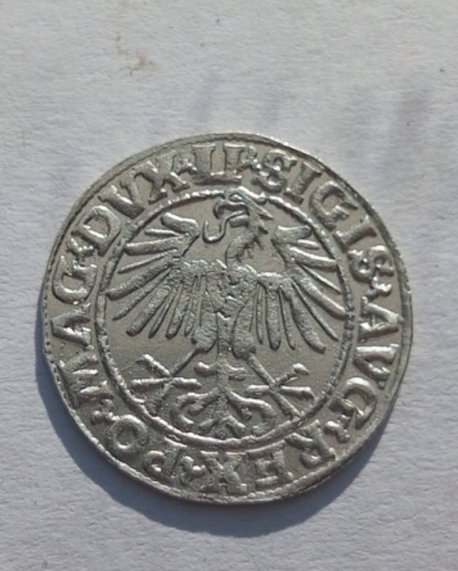 1754418328715.jpg