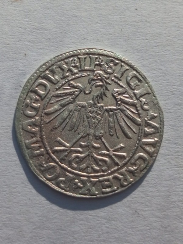 1754418258068.jpg
