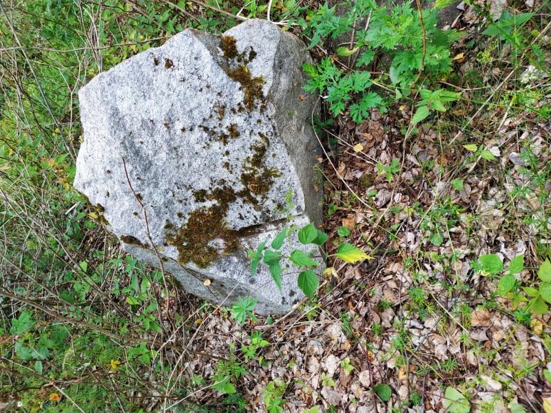 IMG_20190629_162743.jpg