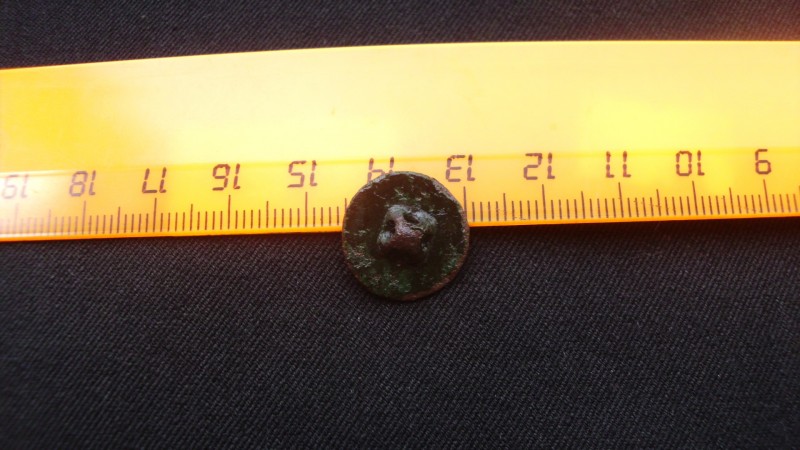 DSCI0751.JPG