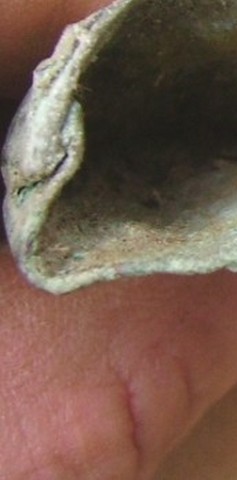 IMGP6051.JPG