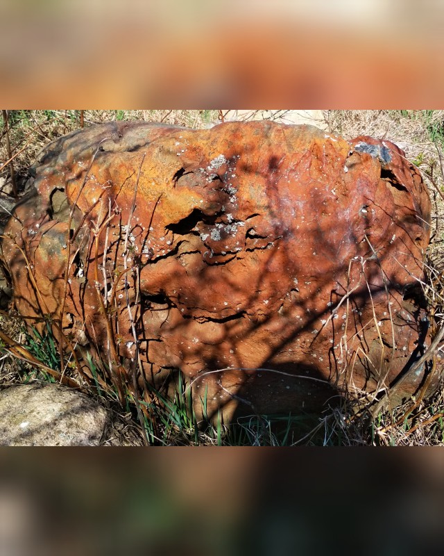 inCollage_20190713_234641435.jpg