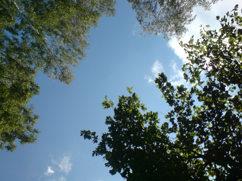 DSC00294.JPG