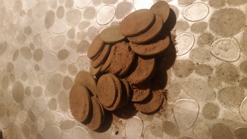 20190722_223544.jpg