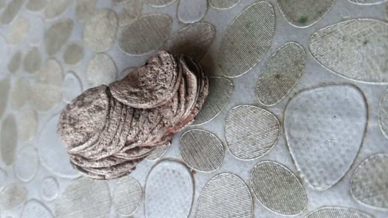 20190725_190513.jpg