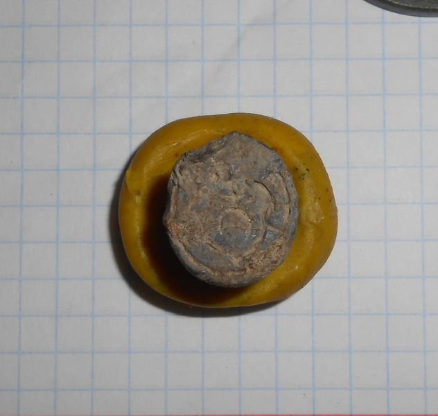 DSCN8220.JPG