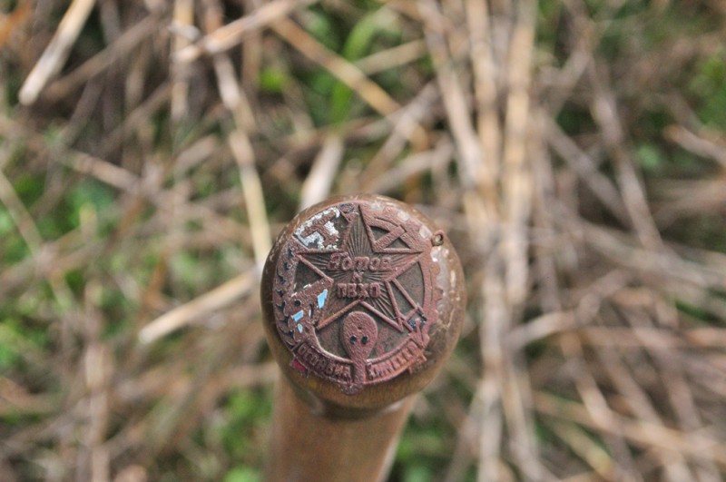 CSC_1253.JPG