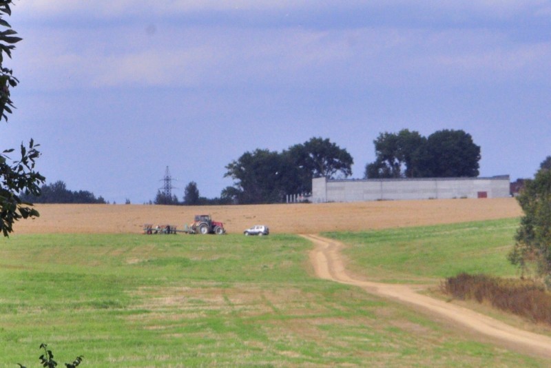 CSC_1242.JPG