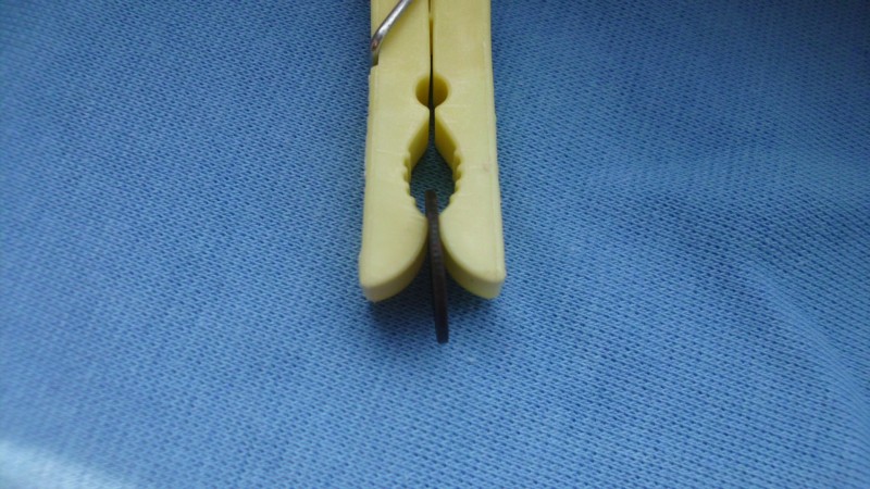 DSCI0923.JPG