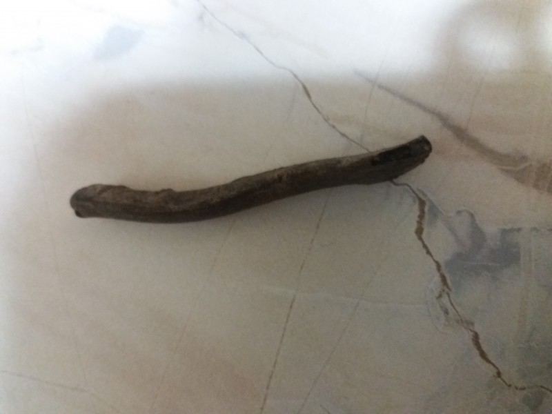 20190923_205450[1].jpg