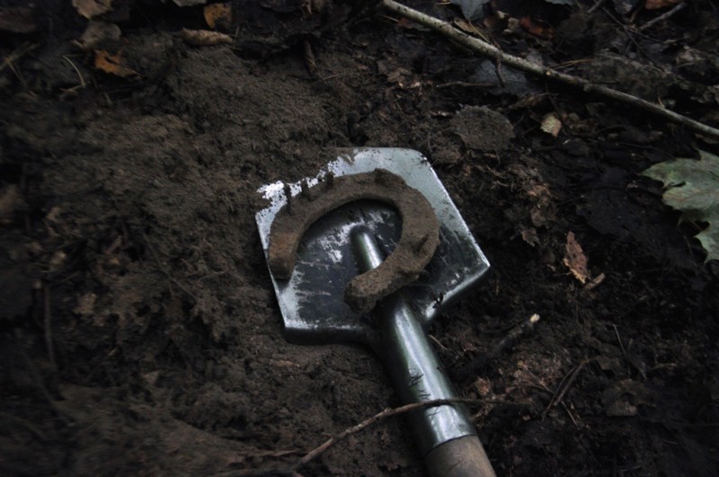 CSC_1356.JPG