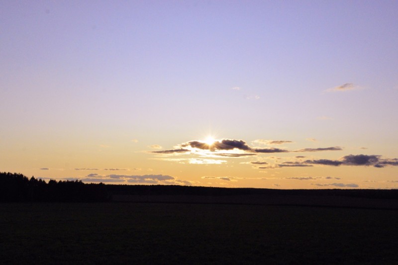 CSC_1371.JPG