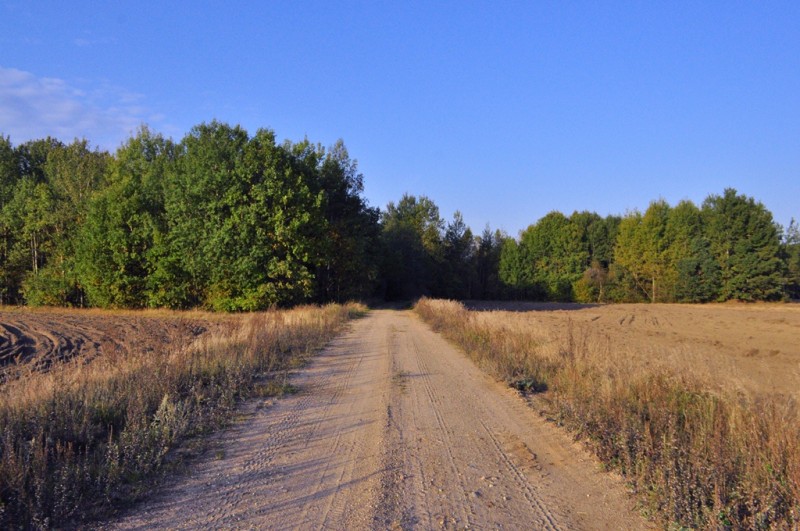CSC_1341.JPG