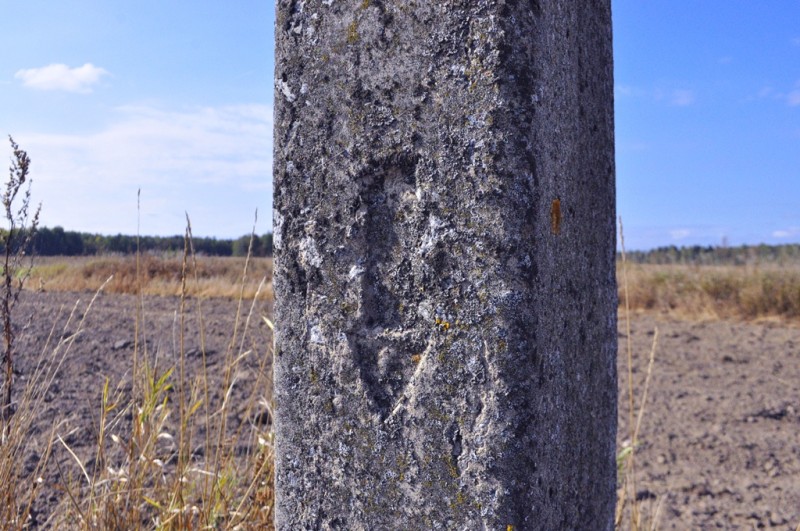 CSC_1346.JPG