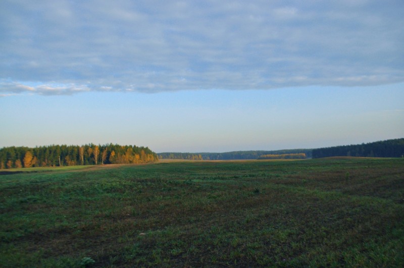 CSC_1433.JPG