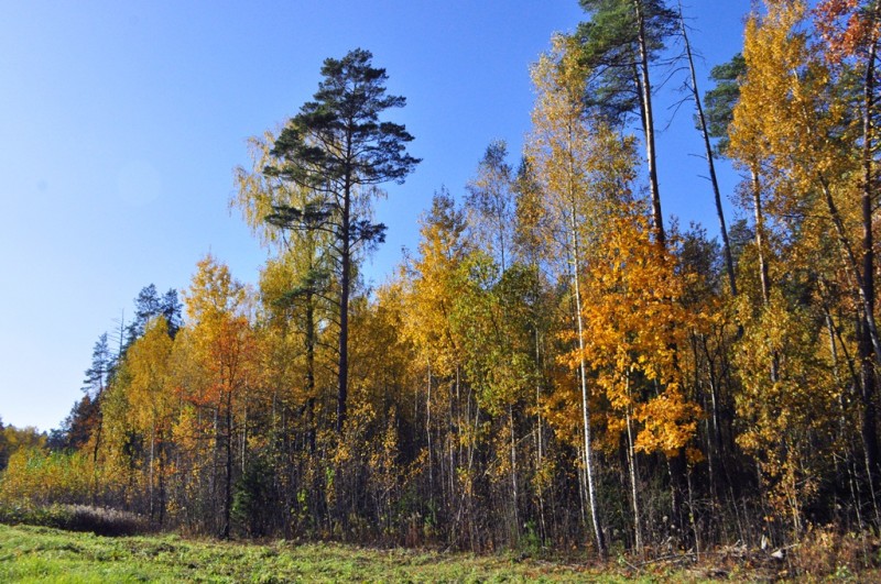 CSC_1455.JPG