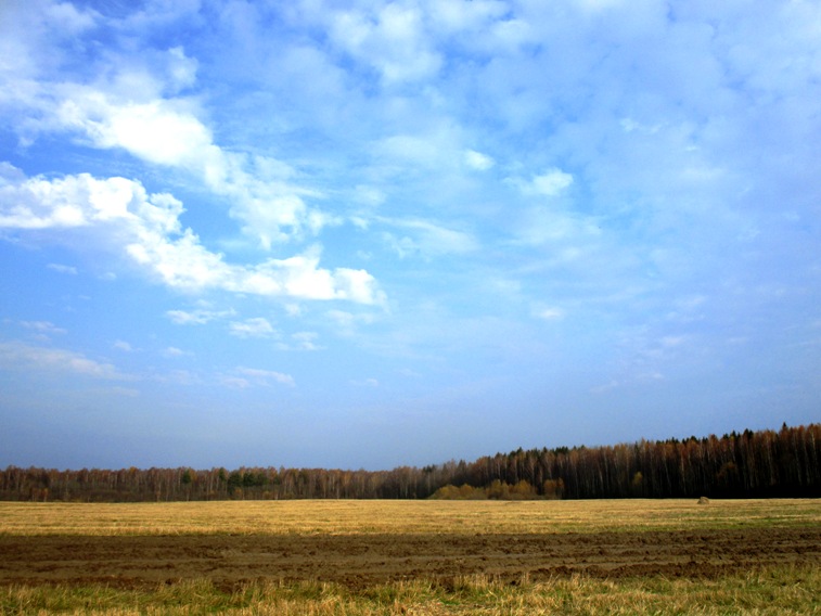 IMG_4080.JPG