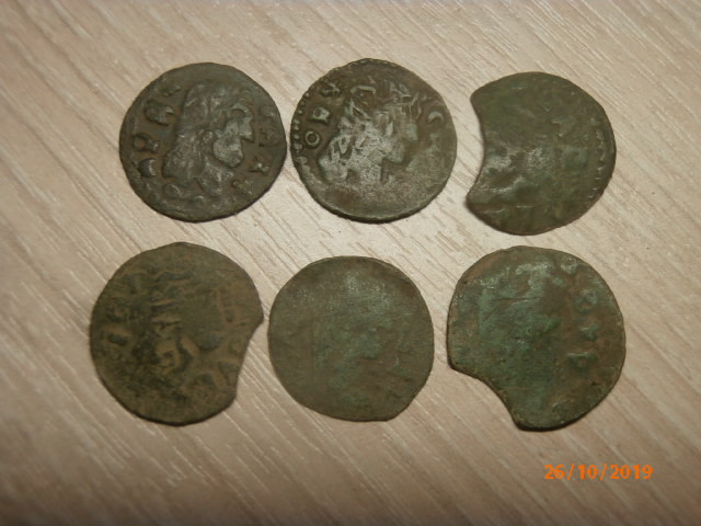 PA260746.JPG
