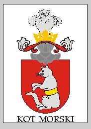кот.jpg