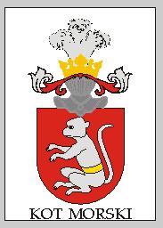 кот2.jpg