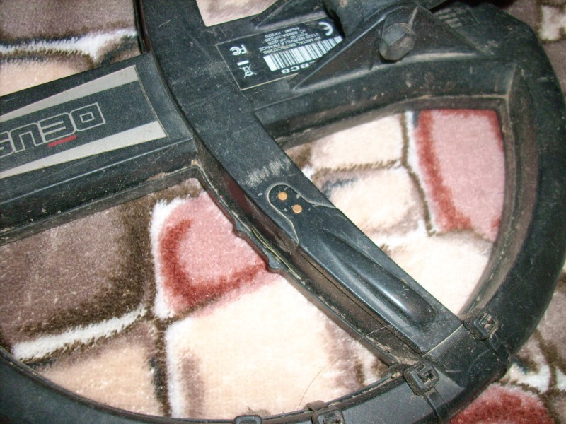 DSCI5168.JPG