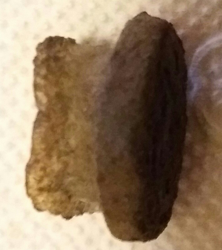 20191201_180719.jpg