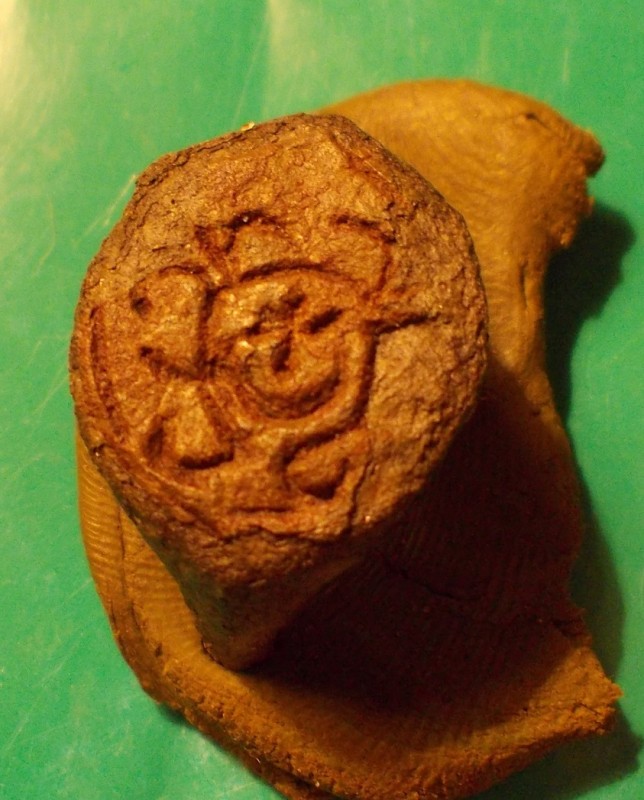 DSCN0768.jpg