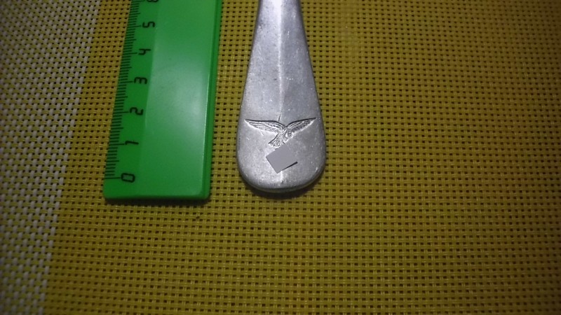 DSCI1026.JPG