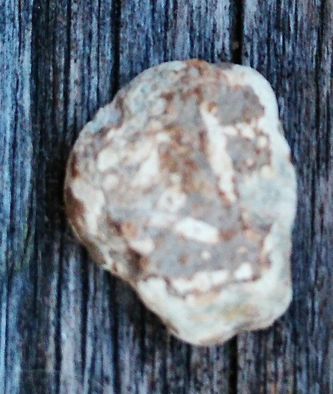 _20181130_160837.jpg