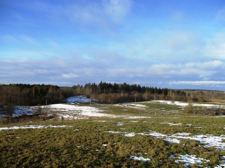 IMG_4498.JPG