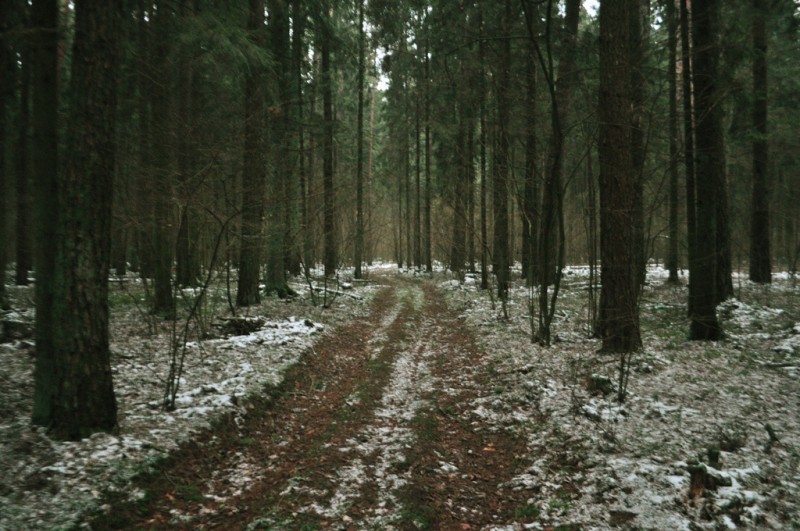 CSC_1514.JPG