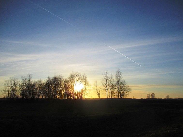 IMG_4670.JPG