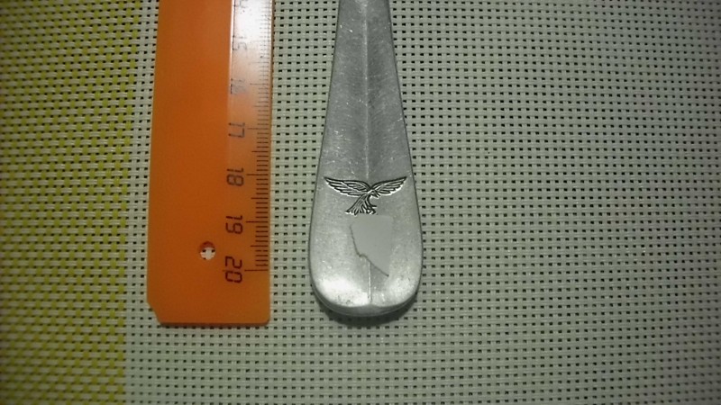 DSCI1107.JPG