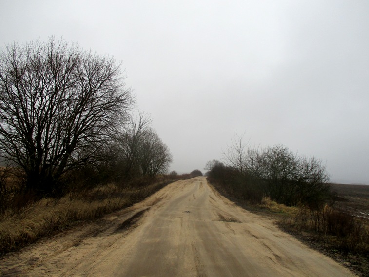 IMG_4737.JPG