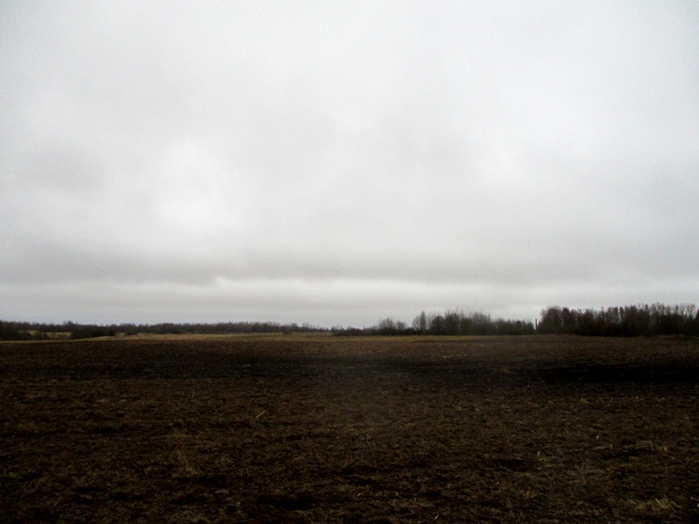 IMG_4729.JPG