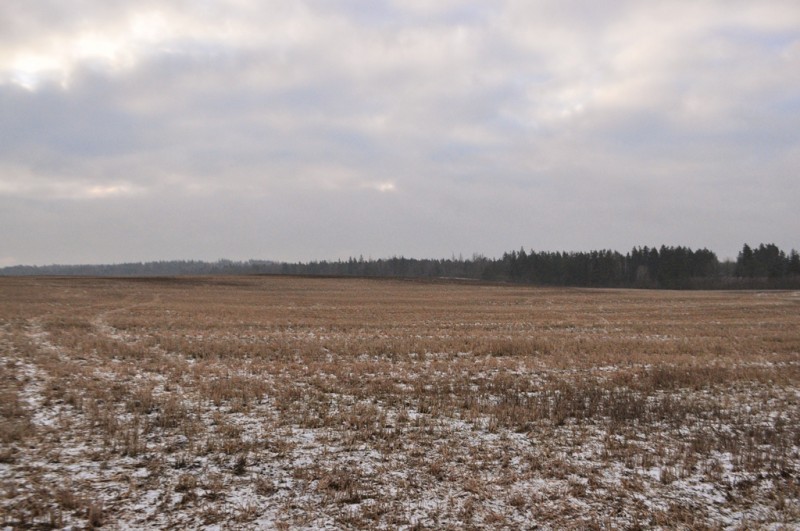 CSC_1633.JPG