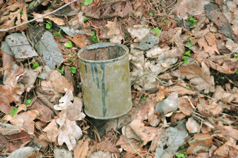 CSC_1636.JPG