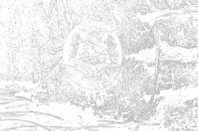 CSC_1653.JPG