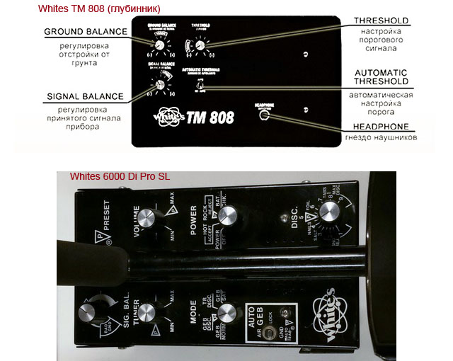 6000vsTM.jpg