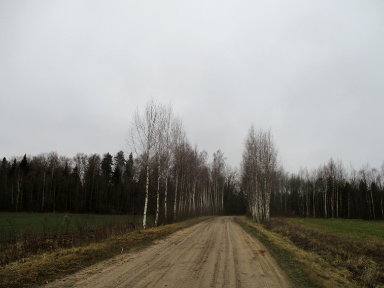 IMG_4770.JPG
