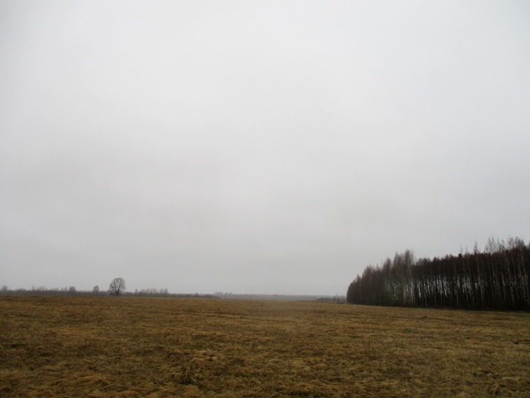 IMG_4762.JPG