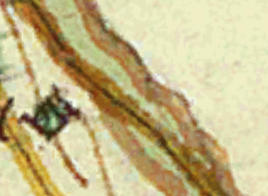 Screenshot_79.png