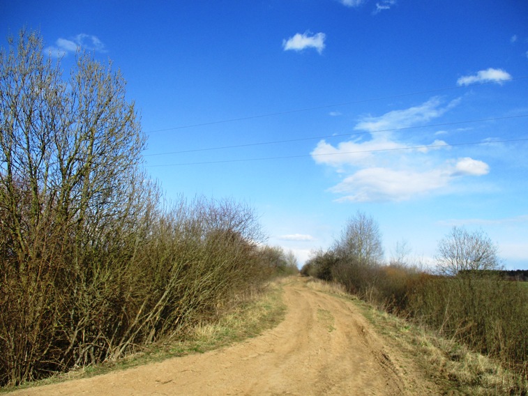 IMG_4914.JPG