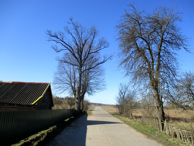 IMG_4923.JPG